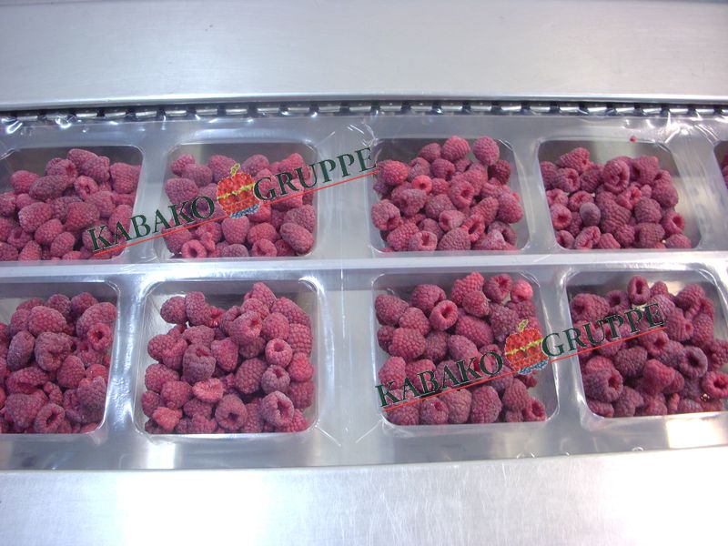 Frozen (IQF) Raspberries 37